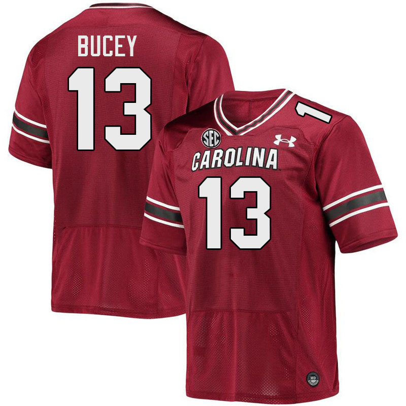 Men #13 David Bucey South Carolina Gamecocks College Football Jerseys Stitched-Garnet